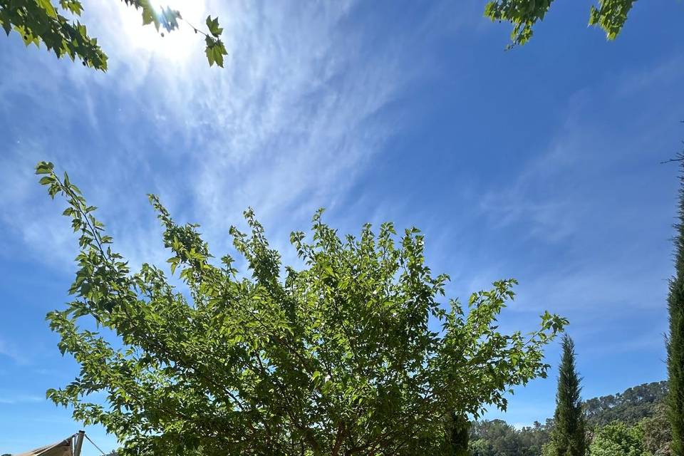 Jardins