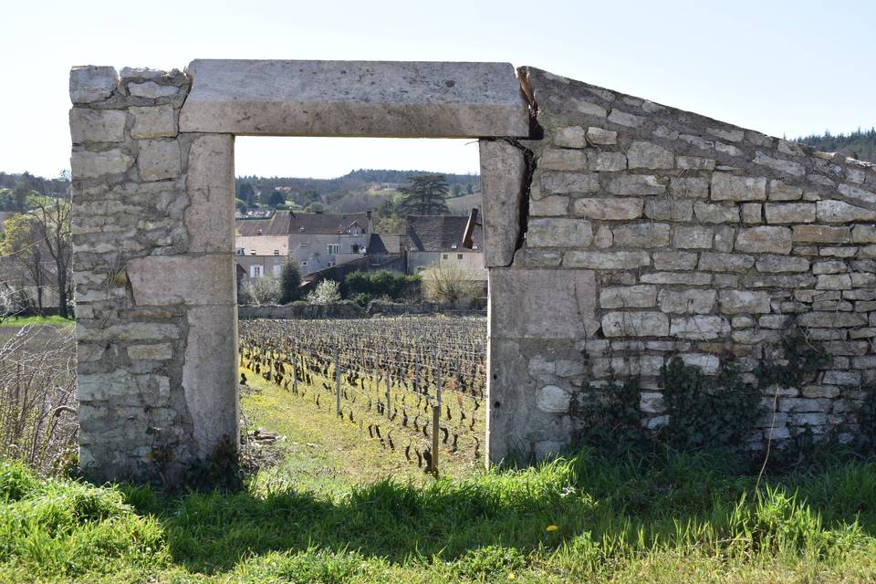 Domaine Laurent Dufouleur