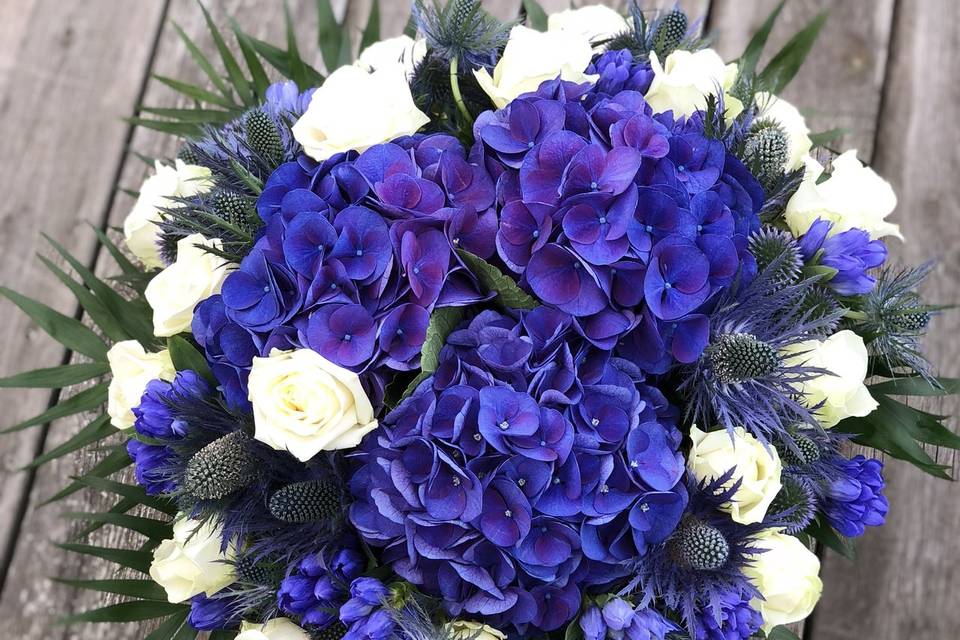Les Fleurs d'Agrippine