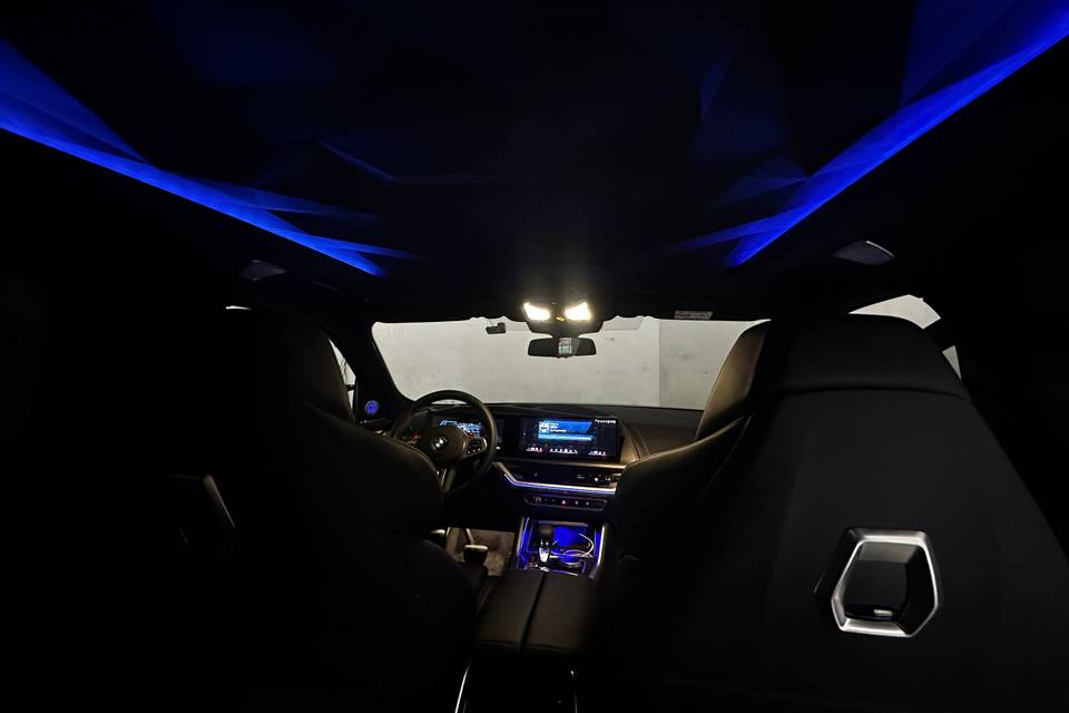 Luxury Driver