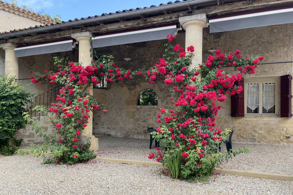 La Roseraie Château Sentout