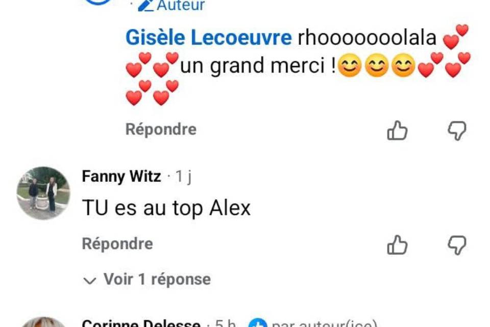 Avis