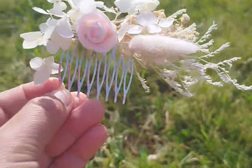 Fleurs séchées