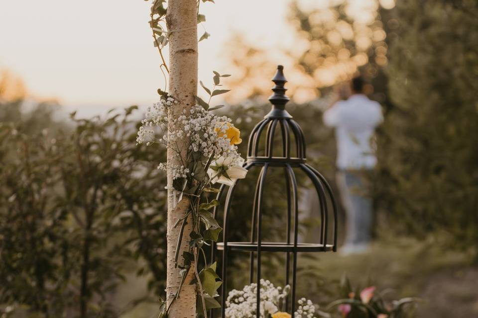Photographie de Mariage