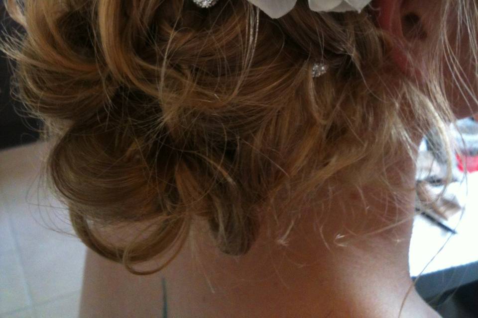 Chignon  coté