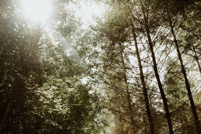 Lise Ritter - Photographe