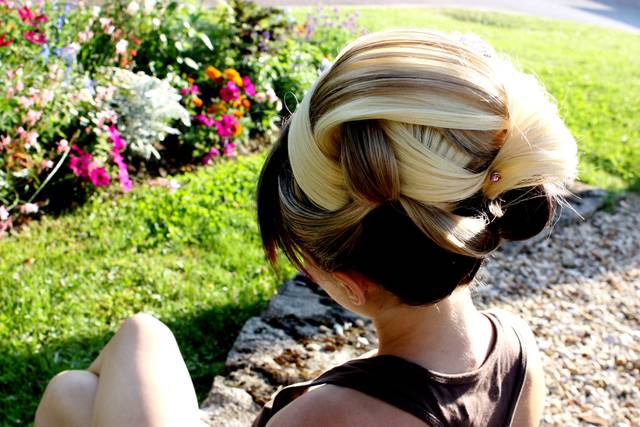 Chignon Prestige