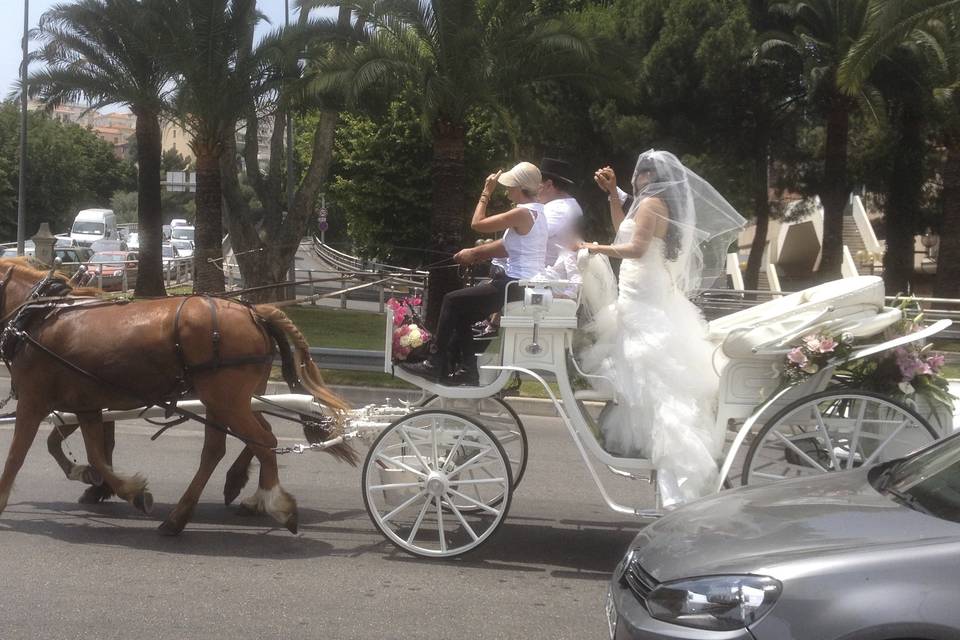 Les Calèches d'Antipolis