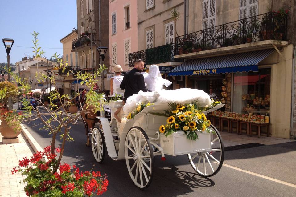 Les Calèches d'Antipolis