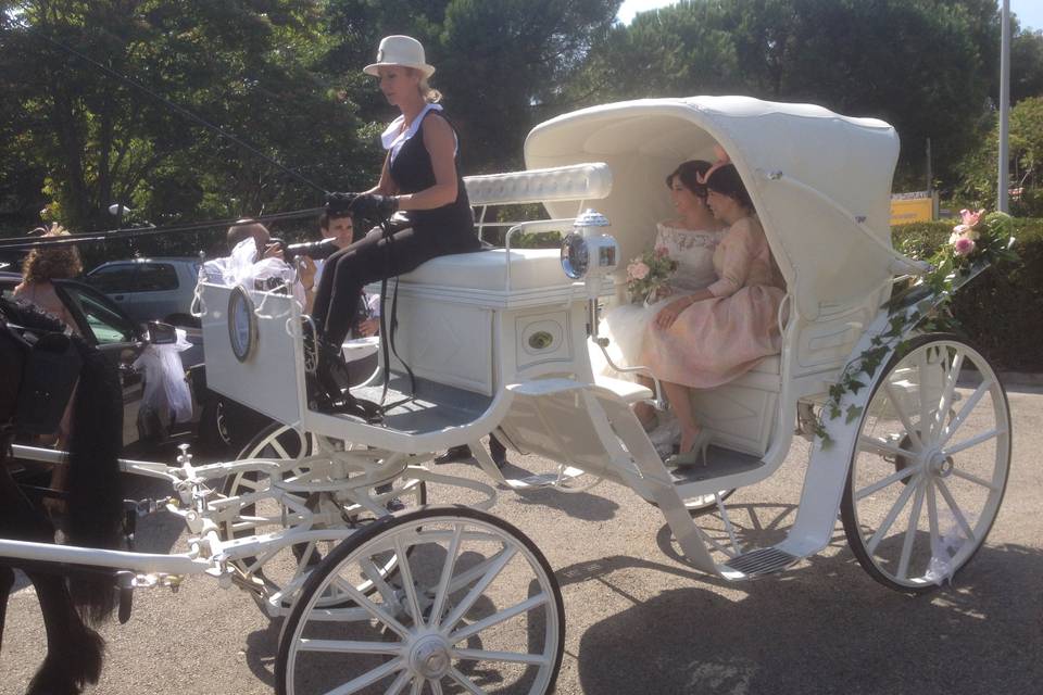 Les Calèches d'Antipolis