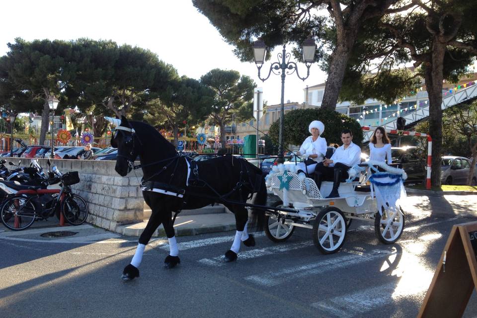 Les Calèches d'Antipolis