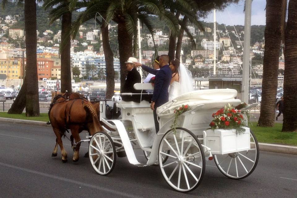 Les Calèches d'Antipolis