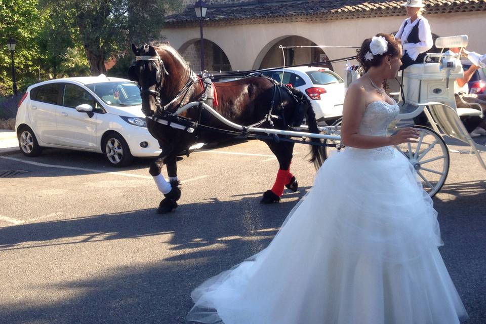 Promenade des invités