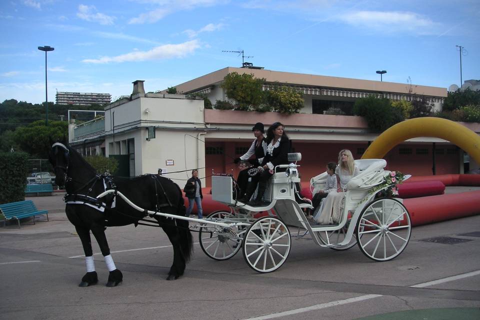 Les Calèches d'Antipolis