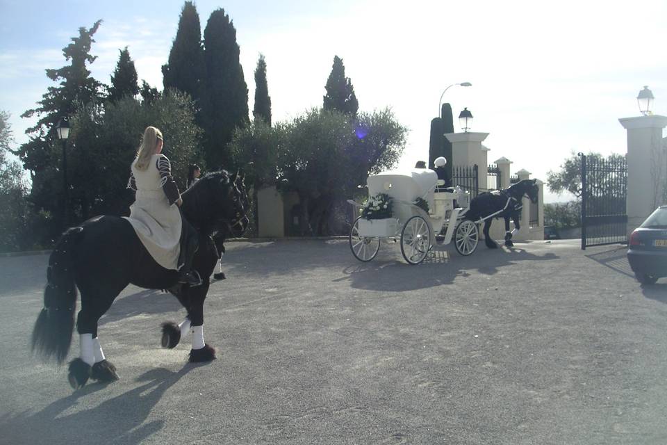 Les Calèches d'Antipolis