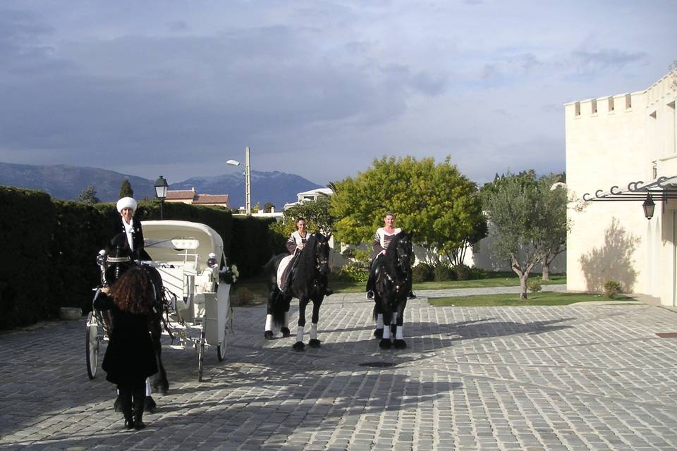 Les Calèches d'Antipolis