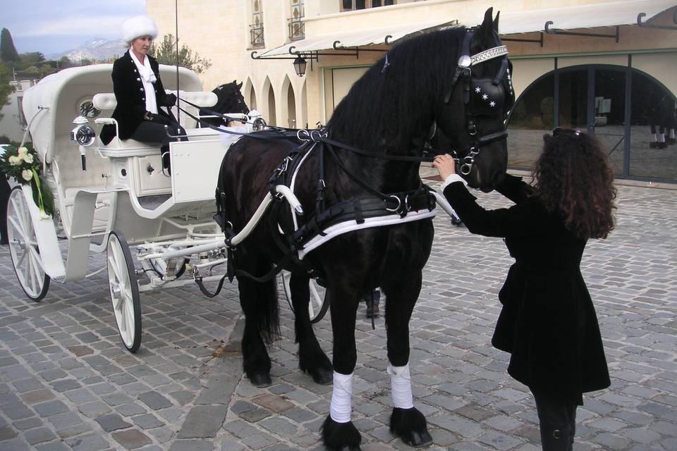 Les Calèches d'Antipolis