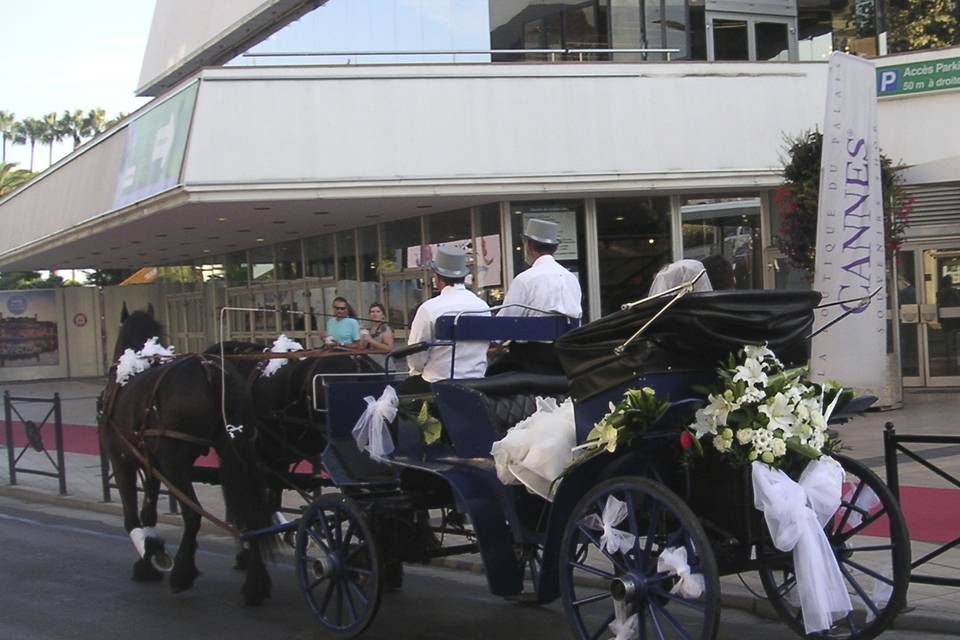 Les Calèches d'Antipolis