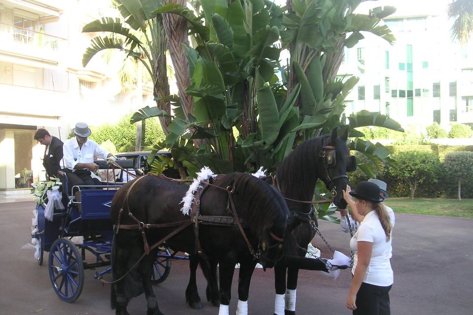 Les Calèches d'Antipolis