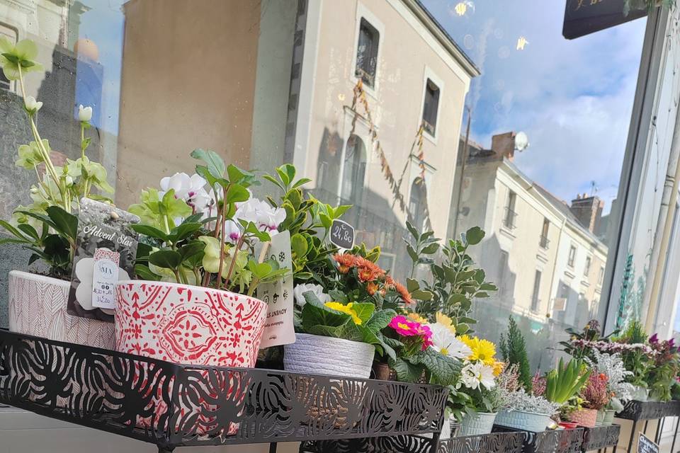 Ma Décoflorale