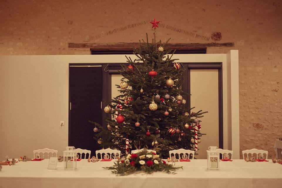 Mariage d'hiver salle Tilio