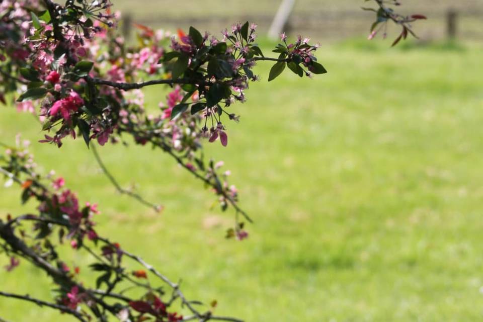 Photographie