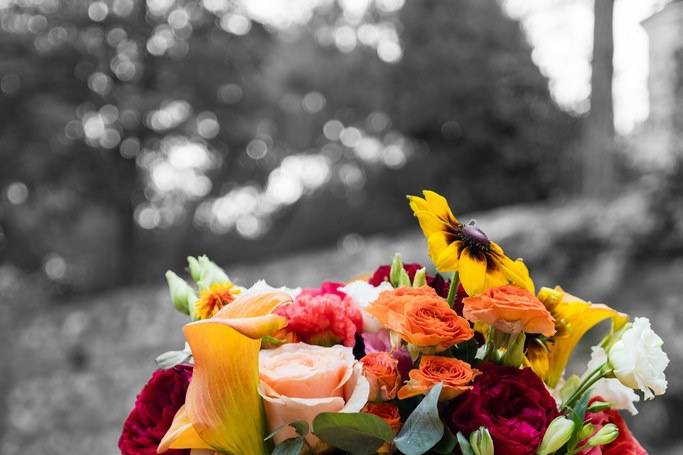 Mariage 5 juillet 2025