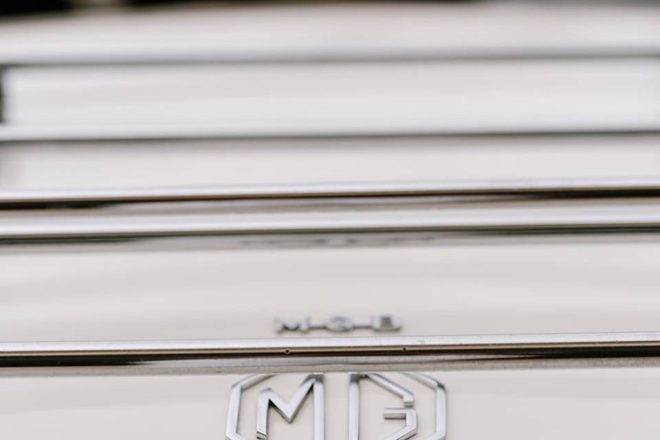 Mg B