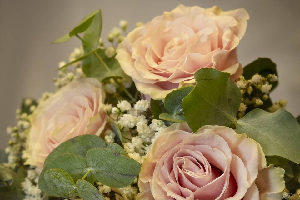 Mariage 7 septembre 2024