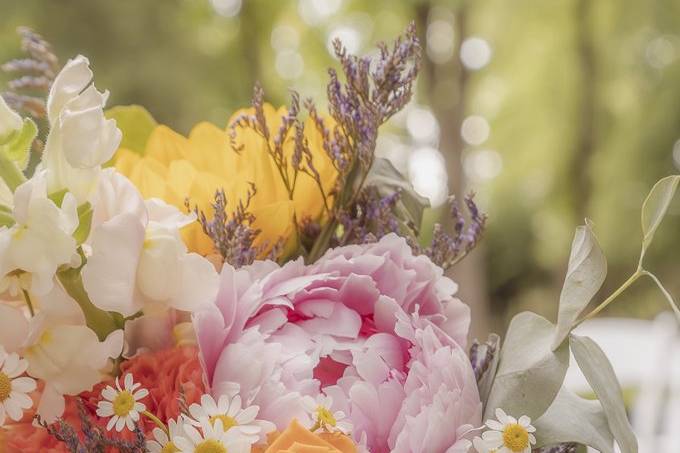 Fleurs de couleurs différentes