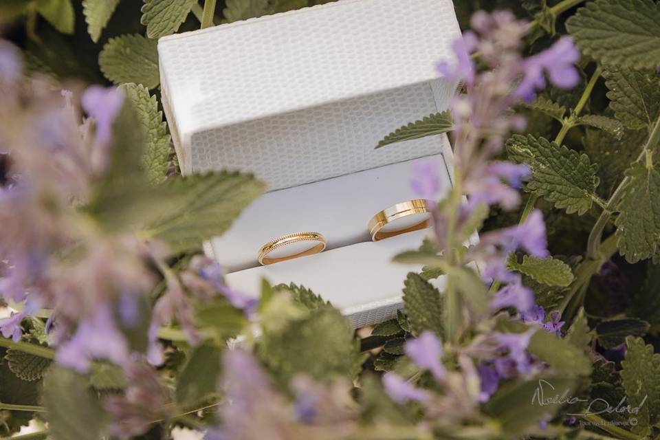 Bijoux et fleurs violettes