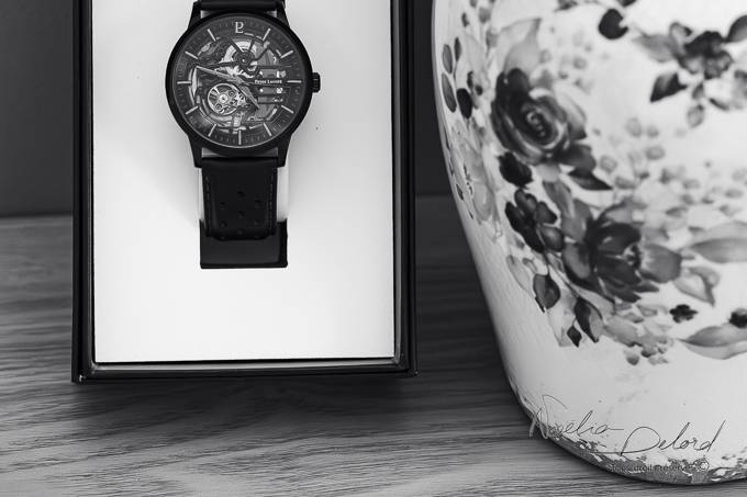 La montre dans son écrin
