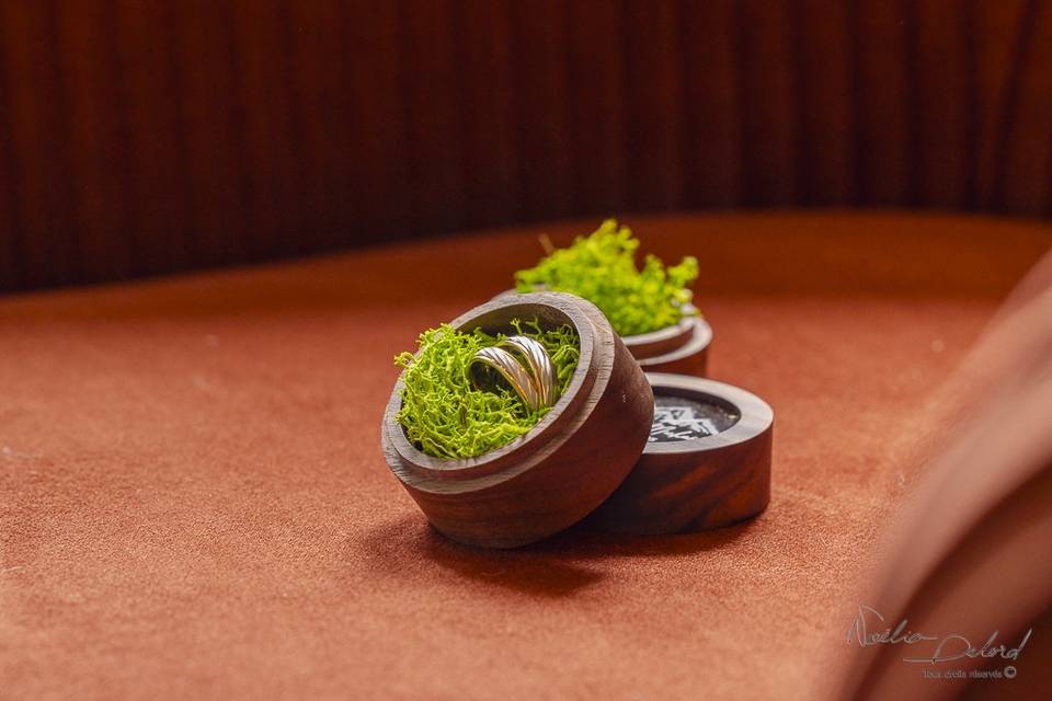Bagues, écrin et verdure