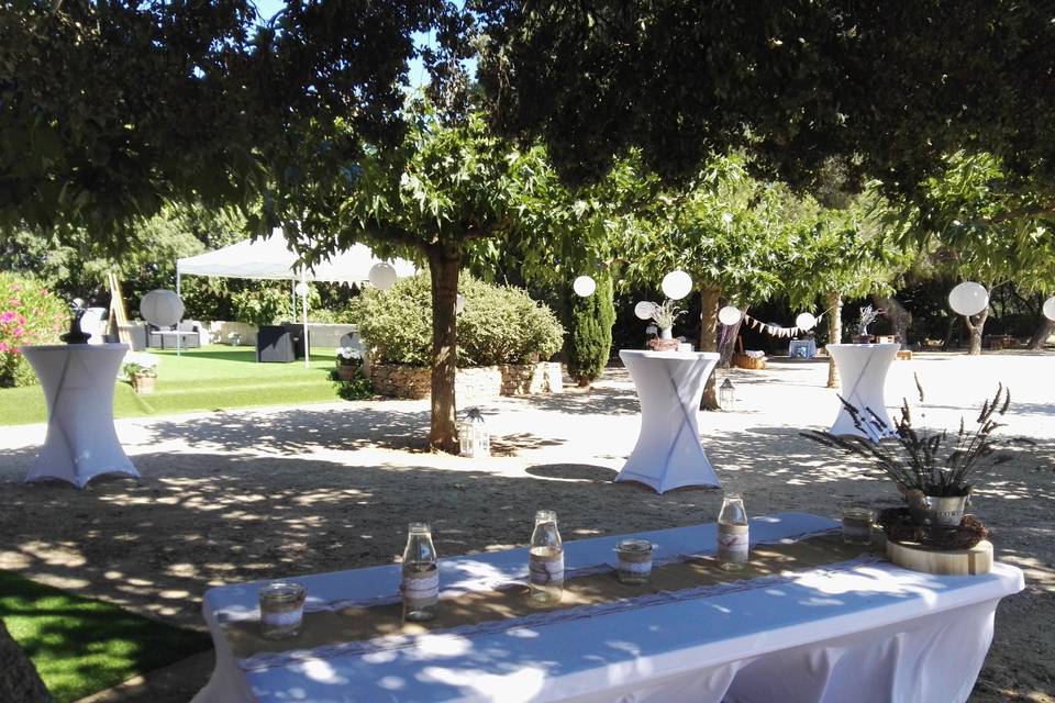 Jardin