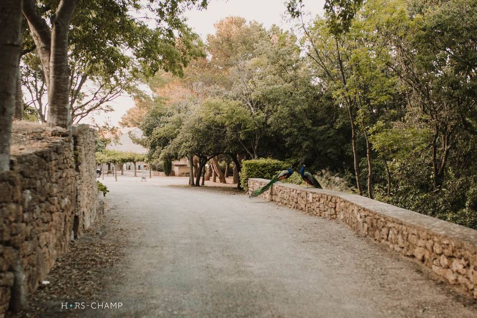 Domaine de Lunard