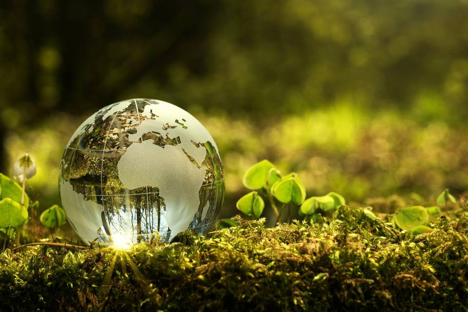 Ecotourisme