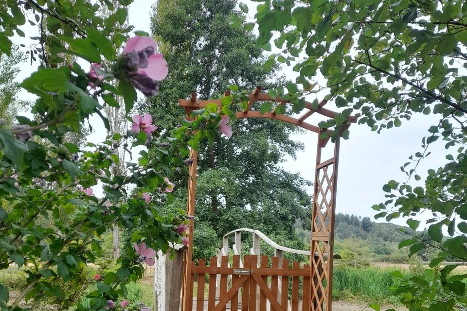 Arche