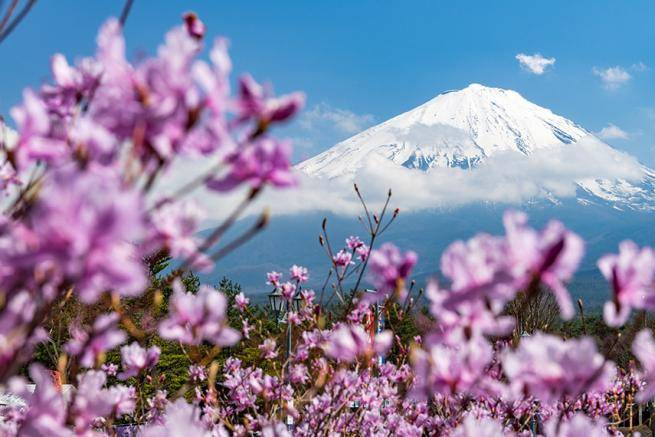 Voyage de Noce Japon