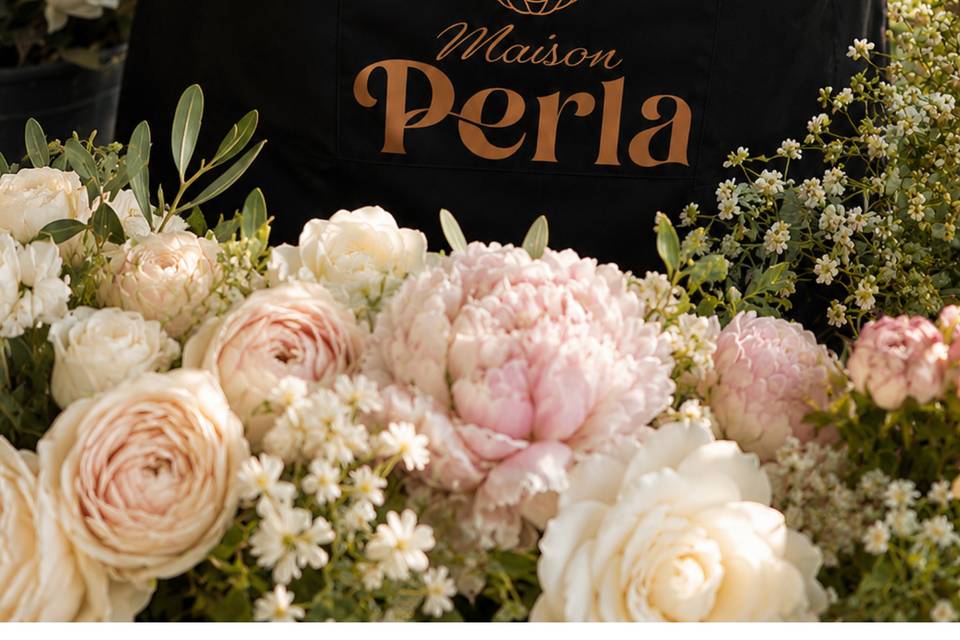 Maison Perla equipe
