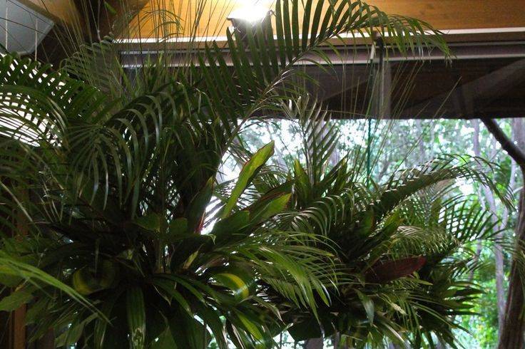 Festiv' & Co-Location