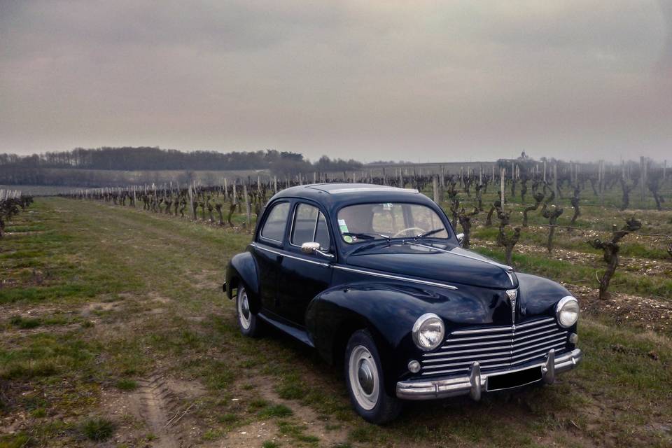 Peugeot 203C vignes mars