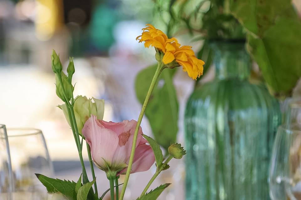 Fleurs des Champs