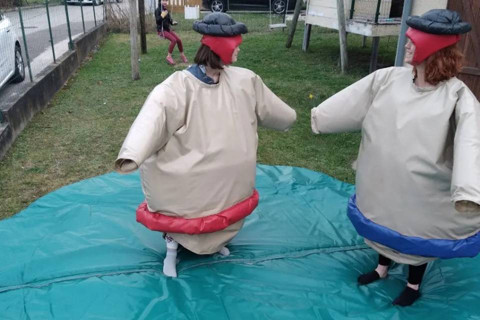 Jeux du sumo adultes