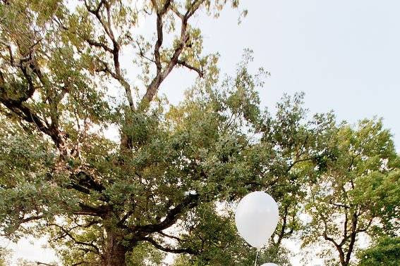 Photo couple ballons