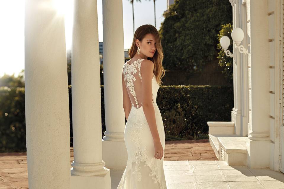 Robe Elvia - San Patrick
