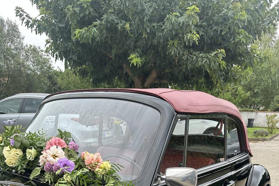 Décoration voiture