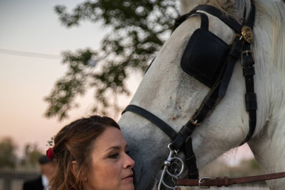 Photographe de mariage