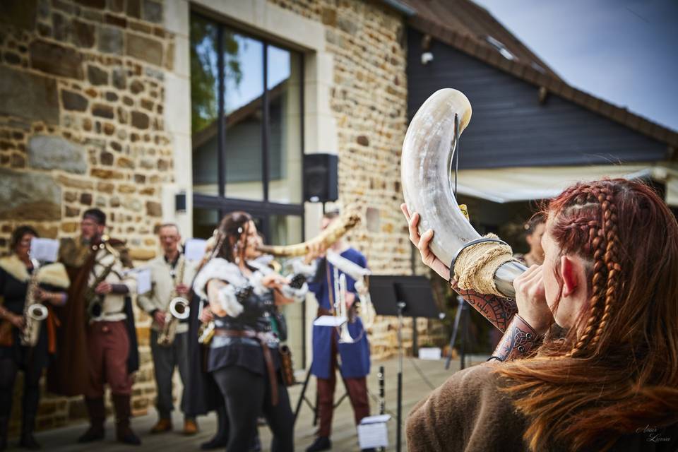 Vikings