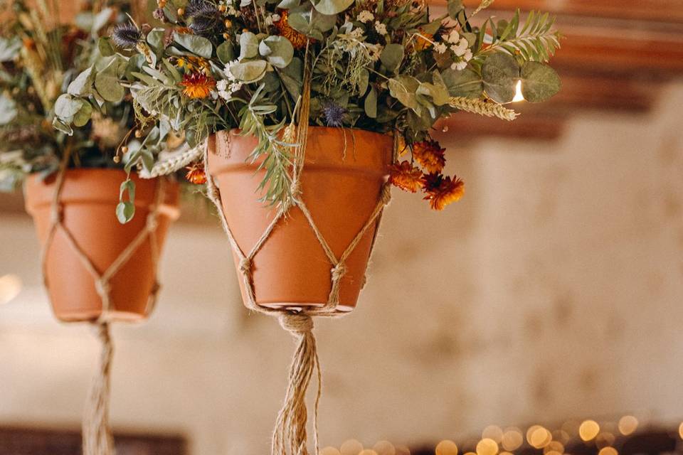 Fleurs séchées