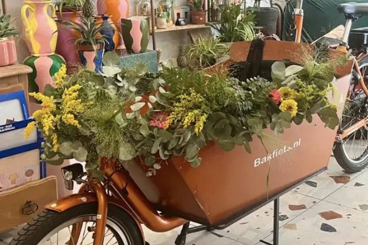 Vélo cargo